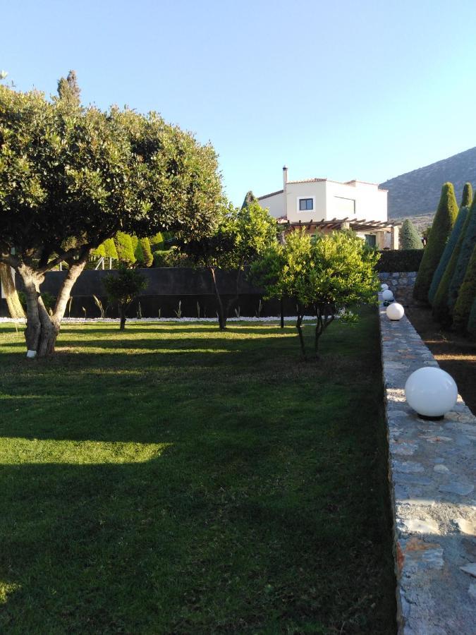 Golden Crest Villa Hersonissos  Exteriér fotografie